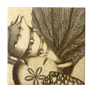 ニュートラルシェルアンドコーラルコレクション タイル