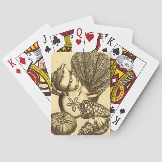 ニュートラルシェルアンドコーラルコレクション トランプ (裏面)