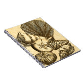 ニュートラルシェルアンドコーラルコレクション ノートブック (右側)