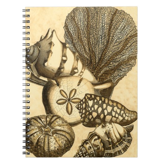ニュートラルシェルアンドコーラルコレクション ノートブック (正面)