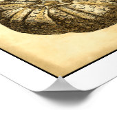 ニュートラルシェルアンドコーラルコレクション ポスター (角)