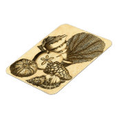 ニュートラルシェルアンドコーラルコレクション マグネット (左側)