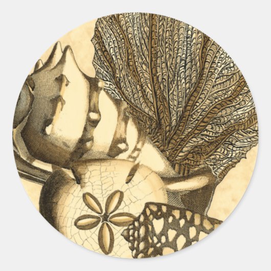 ニュートラルシェルアンドコーラルコレクション ラウンドシール (正面)