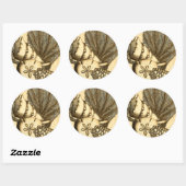 ニュートラルシェルアンドコーラルコレクション ラウンドシール (シート)