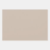 ニュートラルピンクシルバーグリーンパステルシェード ラッピングペーパーシート (正面2)