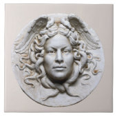 ニュートラルベージュマーブルメドゥーサウォールタイル タイル (正面)