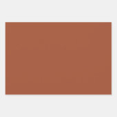 ニュートラル自然トーン ラッピングペーパーシート (正面3)