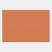 ニュートラル自然トーン ラッピングペーパーシート (正面2)