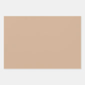 ニュートラル自然トーン ラッピングペーパーシート (正面)