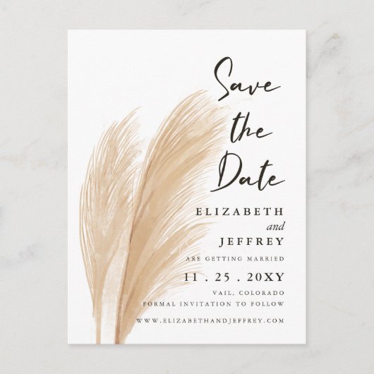 ニュートラ素朴ル自然ボホパンパスグラス結婚ズAn 案内ポストカード (正面)