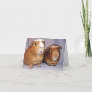 ニュートンおよびSkeeter Notecard カード