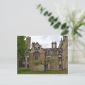 ニュートンズアップルツリーケンブリッジポストカード ポストカード (スタンド正面)