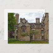 ニュートンズアップルツリーケンブリッジポストカード ポストカード (正面/裏面)