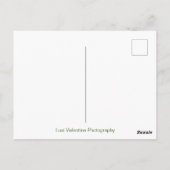 ニュートン・クレイドル ポストカード (裏面)