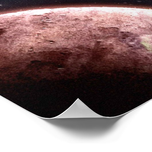 ニューネブラ ポスター (角)