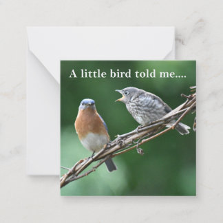 ニューノテカード ノートカード