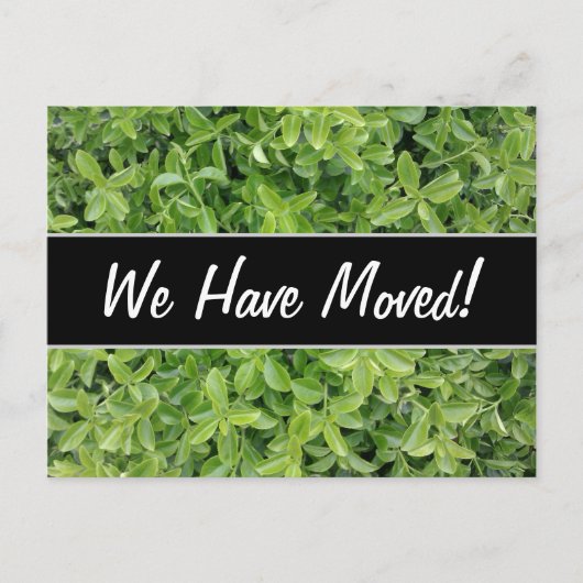 ニューハウス;緑の生垣の低木タイプの植物写真 案内ポストカード (正面)