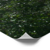 ニューハンプシャーの白い山 ポスター (角)