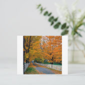 ニューハンプシャーの紅葉の美しい裏道 ポストカード (スタンド正面)