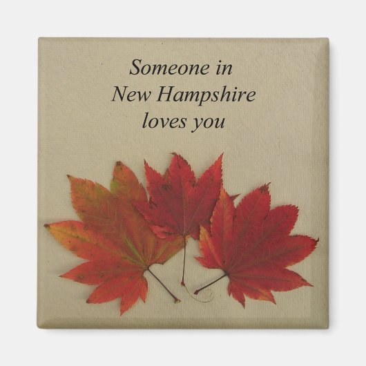 ニューハンプシャーの誰かが君の磁石を愛している マグネット (正面)