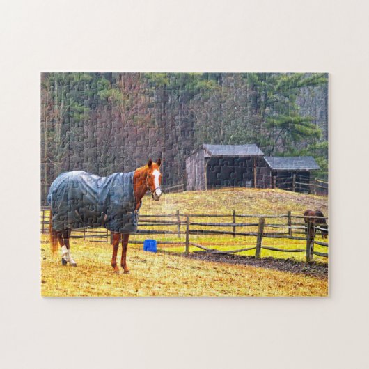 ニューハンプシャーの馬。 ジグソーパズル (横)
