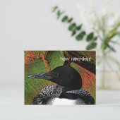 ニューハンプシャーコモンルーン ポストカード (スタンド正面)