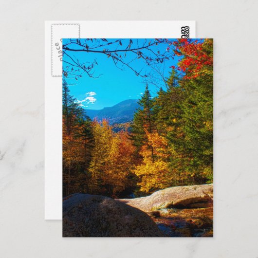 ニューハンプシャーホワイトマウンテンズオータムシーン2013 ポストカード (正面/裏面)
