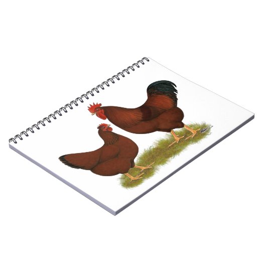 ニューハンプシャーレッズ ノートブック (左側)