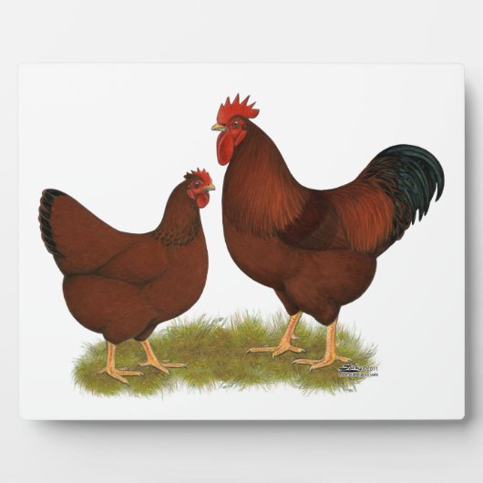 ニューハンプシャーレッズ フォトプラーク (正面)