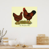 ニューハンプシャーレッズ ポスター (キッチン)