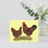 ニューハンプシャーレッズ ポストカード (スタンド正面)