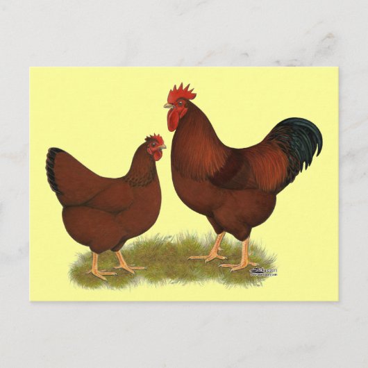 ニューハンプシャーレッズ ポストカード (正面)