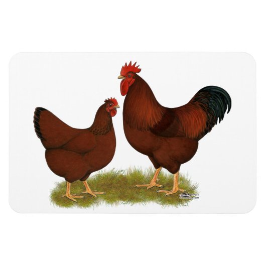 ニューハンプシャーレッズ マグネット (横)