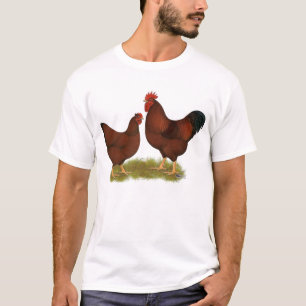 ニューハンプシャーレッズ Tシャツ