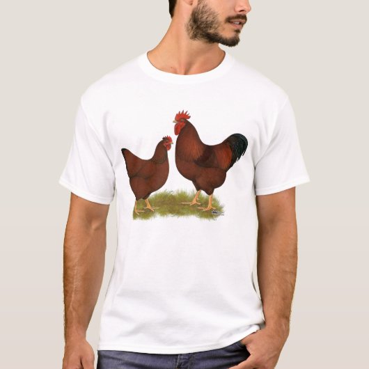 ニューハンプシャーレッズ Tシャツ (正面)