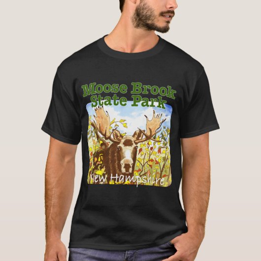 ニューハンプシャー州のムーズブルック州立公園 Tシャツ (正面)