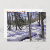 ニューハンプシャー州の樹液バケツ ポストカード (正面/裏面)