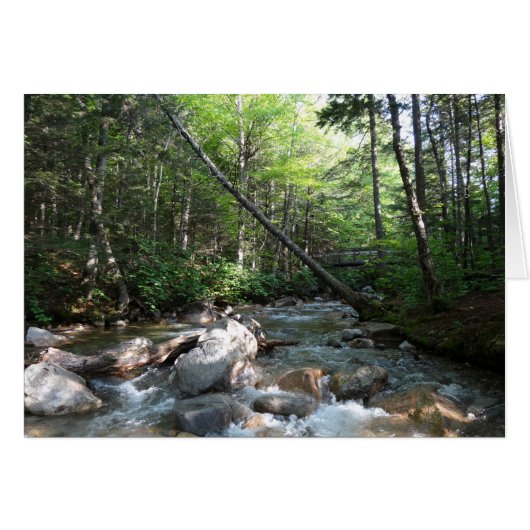 ニューハンプシャー州のPemigewasset River Bridge (正面横)