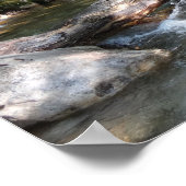 ニューハンプシャー州のPemigewasset River Bridge ポスター (角)