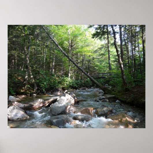 ニューハンプシャー州のPemigewasset River Bridge ポスター (正面)