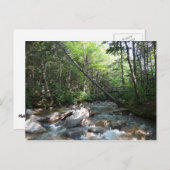 ニューハンプシャー州のPemigewasset River Bridge ポストカード (正面/裏面)