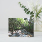 ニューハンプシャー州のPemigewasset River Bridge ポストカード (スタンド正面)