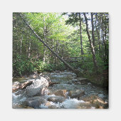 ニューハンプシャー州のPemigewasset River Bridge マグネット (正面)