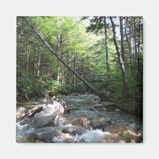 ニューハンプシャー州のPemigewasset River Bridge マグネット (正面)