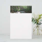 ニューハンプシャー州のPemigewasset River Bridge 便箋 (スタンド正面)