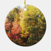 ニューハンプシャー州を横切るベルモントの滑りやすい岩 セラミックオーナメント (裏面)