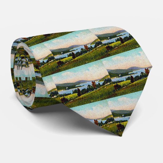 ニューハンプシャー州アルトン・ベイ&レイク・ウィンニペサウキー ネクタイ (ロール)