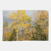 ニューハンプシャー州イエローツリーズ7712