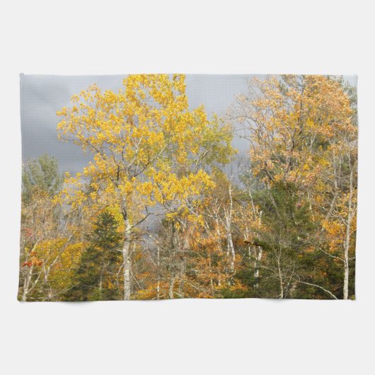ニューハンプシャー州イエローツリーズ7712 キッチンタオル (横)