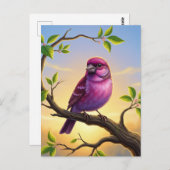 ニューハンプシャー州バードパープルフィンチ ポストカード (正面/裏面)